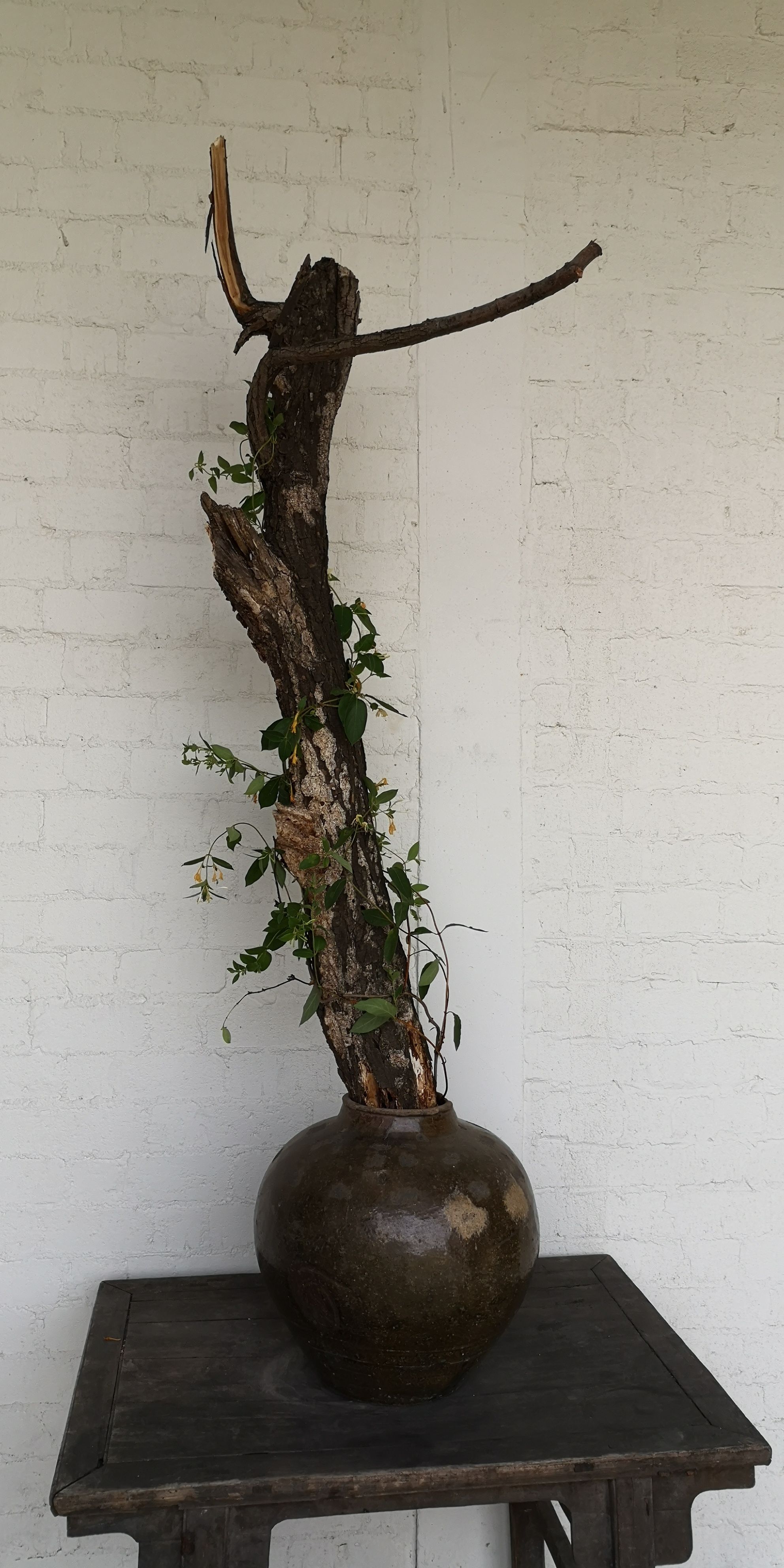 japanese��������home